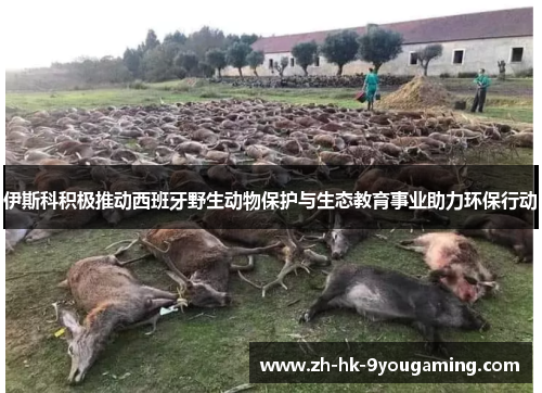 伊斯科积极推动西班牙野生动物保护与生态教育事业助力环保行动