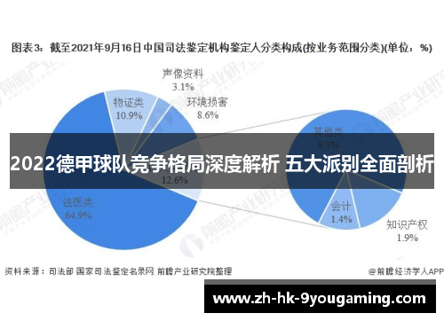 2022德甲球队竞争格局深度解析 五大派别全面剖析