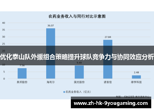 优化泰山队外援组合策略提升球队竞争力与协同效应分析