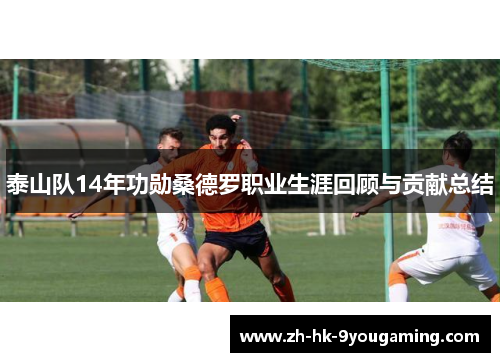泰山队14年功勋桑德罗职业生涯回顾与贡献总结