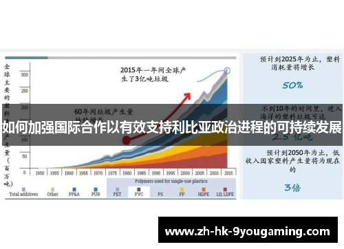 如何加强国际合作以有效支持利比亚政治进程的可持续发展