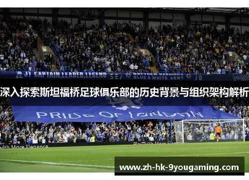 深入探索斯坦福桥足球俱乐部的历史背景与组织架构解析