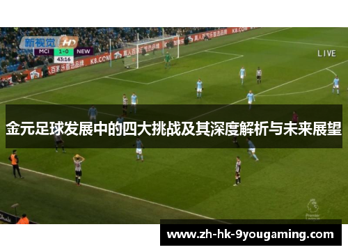 金元足球发展中的四大挑战及其深度解析与未来展望